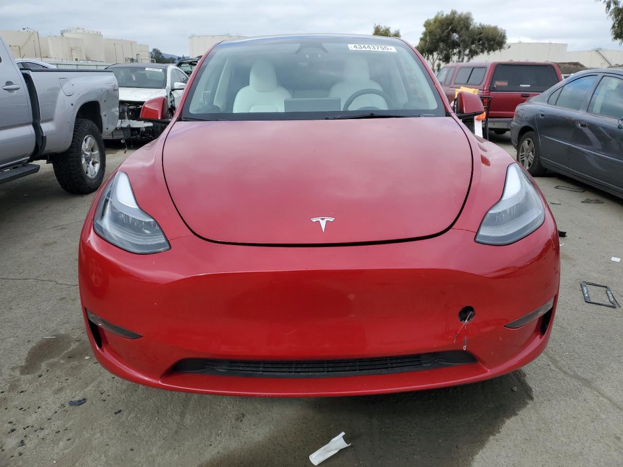 2023 TESLA MODEL Y  VIN:7SAYGDEE5PF922398