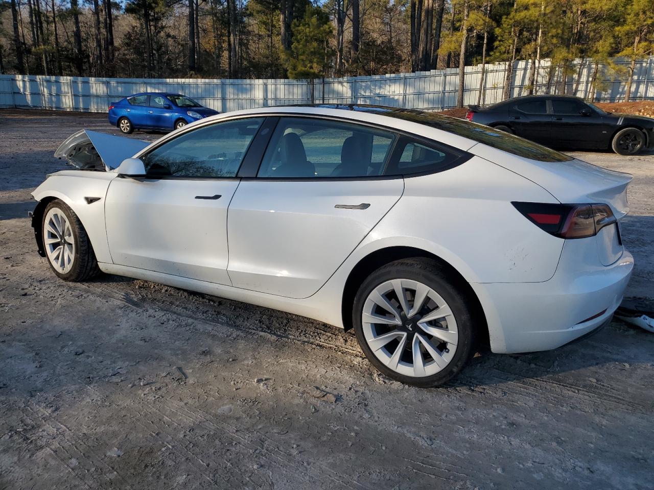 2023 TESLA MODEL 3  VIN:JN1BY1AR5DM604813