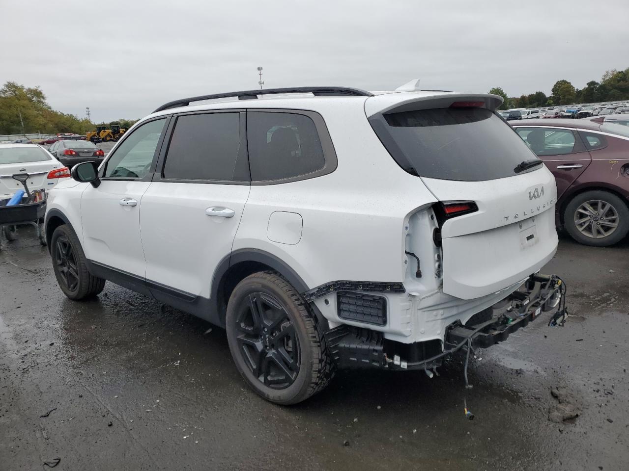 2024 KIA TELLURIDE EX VIN:5XYP3DGC8RG500198