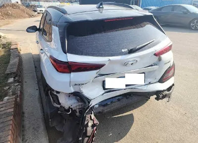 2020 Hyundai Kona KMHK381GFLU116523 VIN:KMHK381GFLU116523