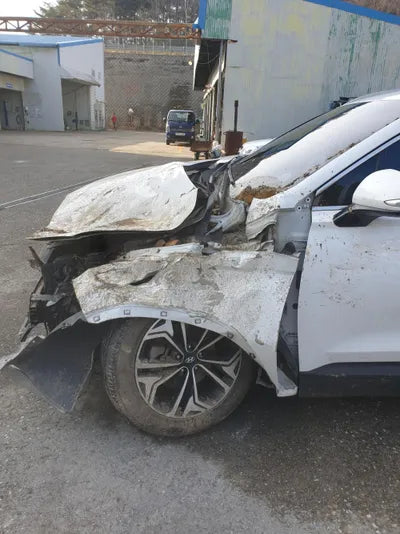 2018 Hyundai Santa FE KMHS281BDKU061175 VIN:KMHS281BDKU061175