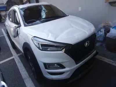 2020 Hyundai Tucson KMHJ5812GLU282267 VIN:KMHJ5812GLU282267