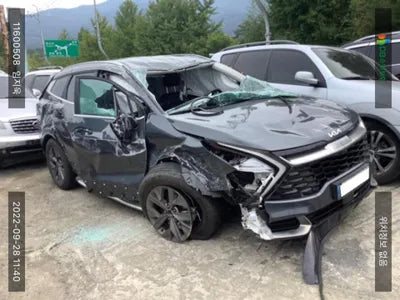 2021 Kia Sportage KNAPW81CDNK015321 VIN:KNAPW81CDNK015321