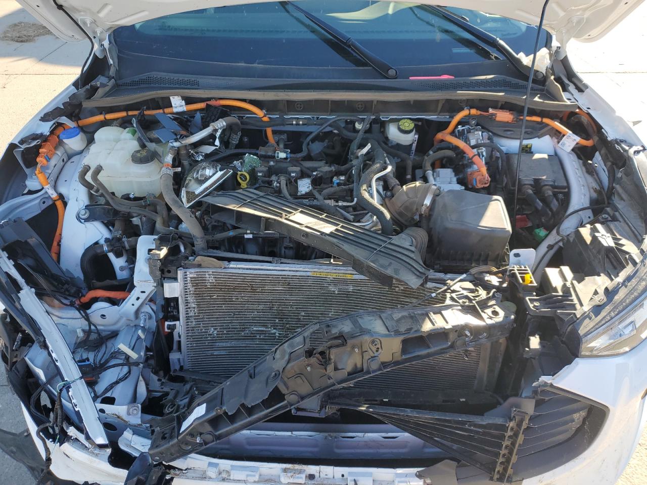 2023 FORD ESCAPE  VIN:1FMCU0E18PUA61307
