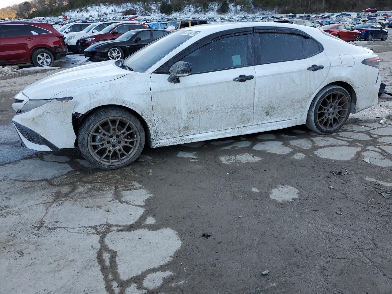 2024 TOYOTA CAMRY SE NIGHT SHADE VIN:4T1T31AK3RU064559