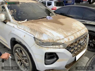2019 Hyundai Santa FE KMHS381BBKU163728 VIN:KMHS381BBKU163728