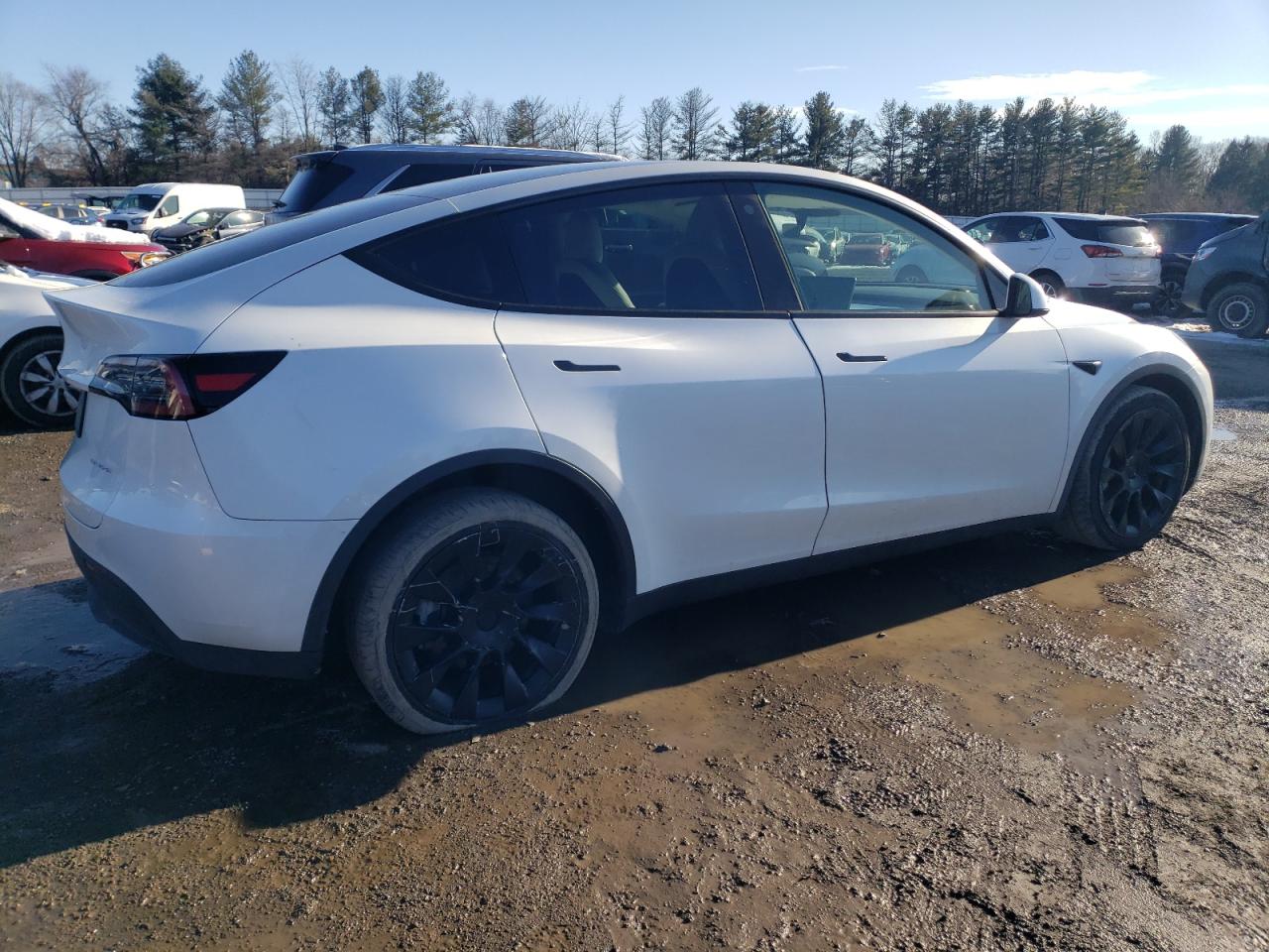 2023 TESLA MODEL Y  VIN:7SAYGDEE7PA105995