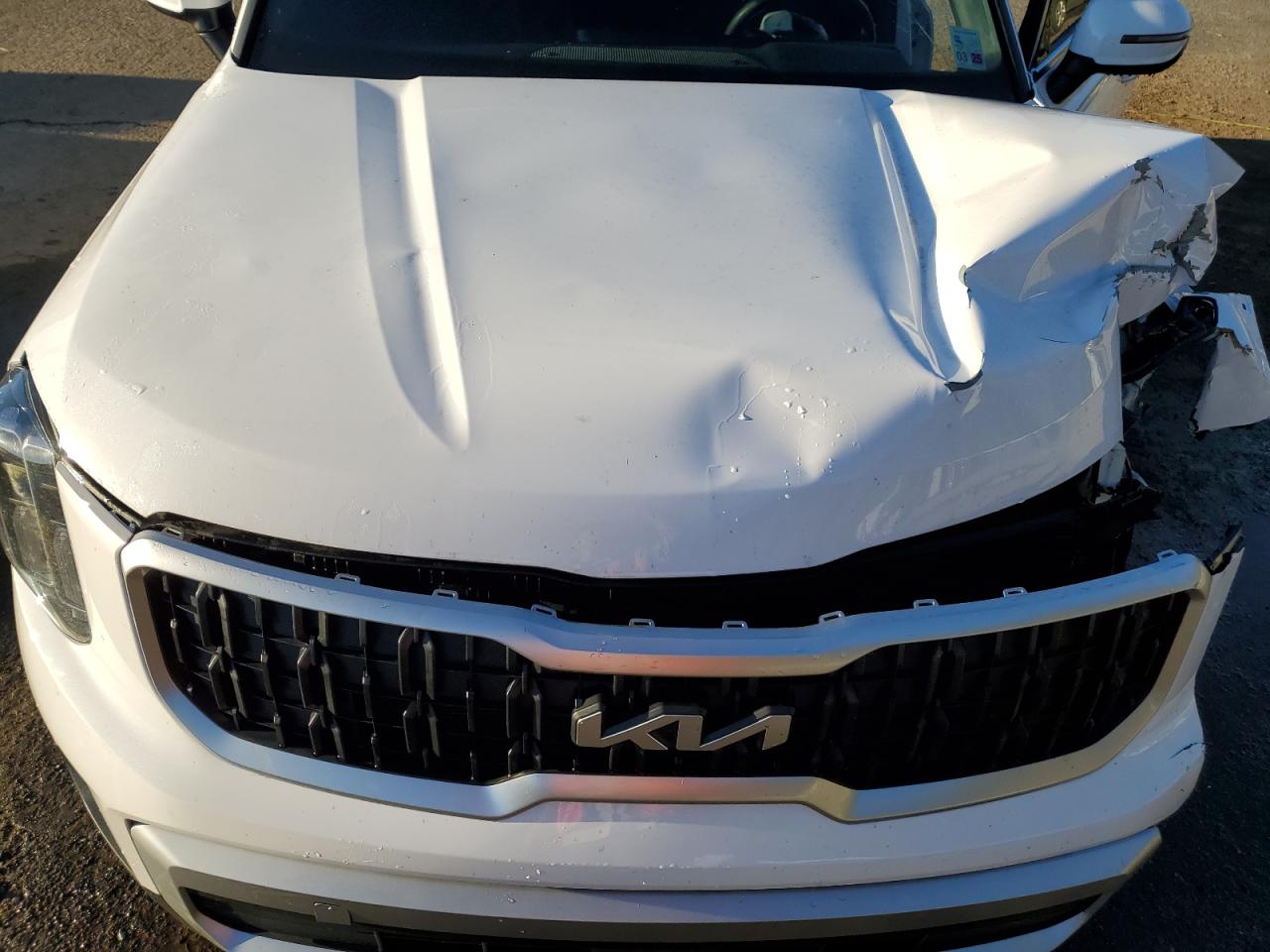 2024 KIA TELLURIDE EX VIN:5XYP3DGC6RG483966