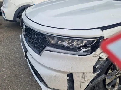 2021 Kia Sorento KNARL81BHMA045694 VIN:KNARL81BHMA045694