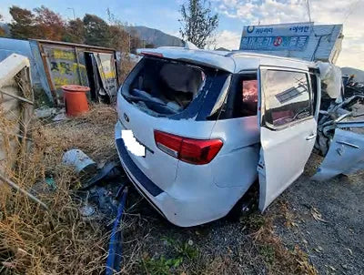 2017 Kia Carnival KNAMC81ABHS315244 VIN:KNAMC81ABHS315244