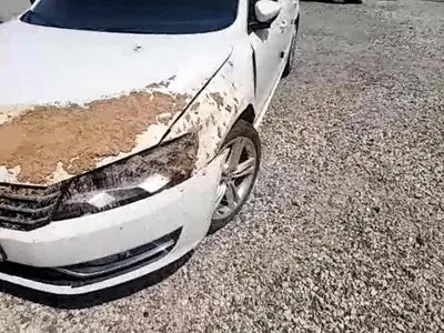 2015 Volkswagen Passat VIN: