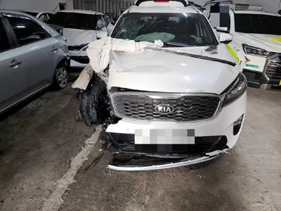 2019 Kia Sorento VIN: