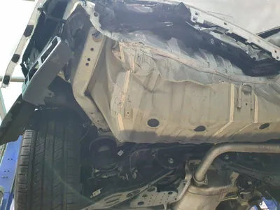 2020 Kia Carnival KNANB81BBMS024261 VIN:KNANB81BBMS024261