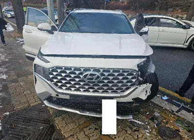 2021 Hyundai Santa FE KMHS381HGMU317770 VIN:KMHS381HGMU317770