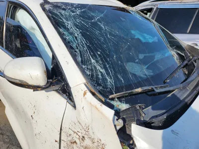 2019 Kia Sorento VIN: