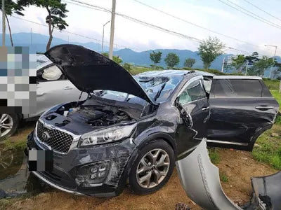 2016 Kia Sorento KNAPS81ABGA223165 VIN:KNAPS81ABGA223165