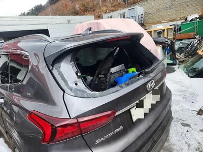2019 Hyundai Santa FE KMHS381BBKU163688 VIN:KMHS381BBKU163688