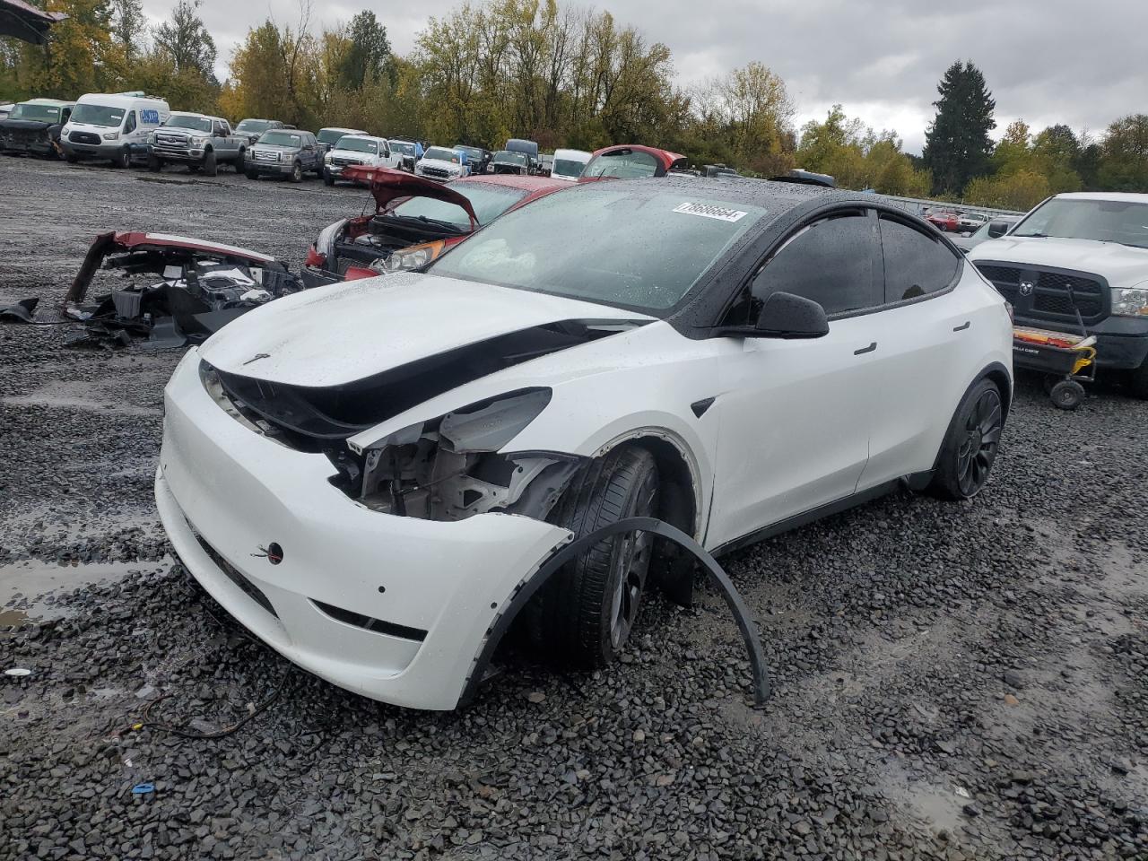 2022 TESLA MODEL Y  VIN:7SAYGDEF6NF493472
