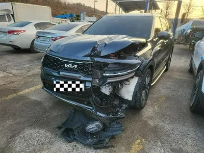 2022 Kia Sorento KNARF81GBNA119324 VIN:KNARF81GBNA119324