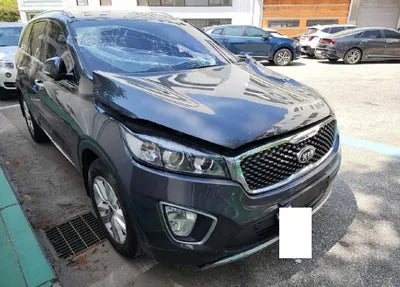2017 Kia Sorento KNAPS81ABHA271420 VIN:KNAPS81ABHA271420