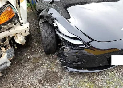 2021 Tesla Model 3 5YJ3E1EB3MF951606 VIN:5YJ3E1EB3MF951606