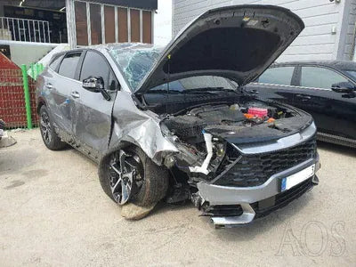 2023 Kia Sportage KNAPX81GBRK110003 VIN:KNAPX81GBRK110003