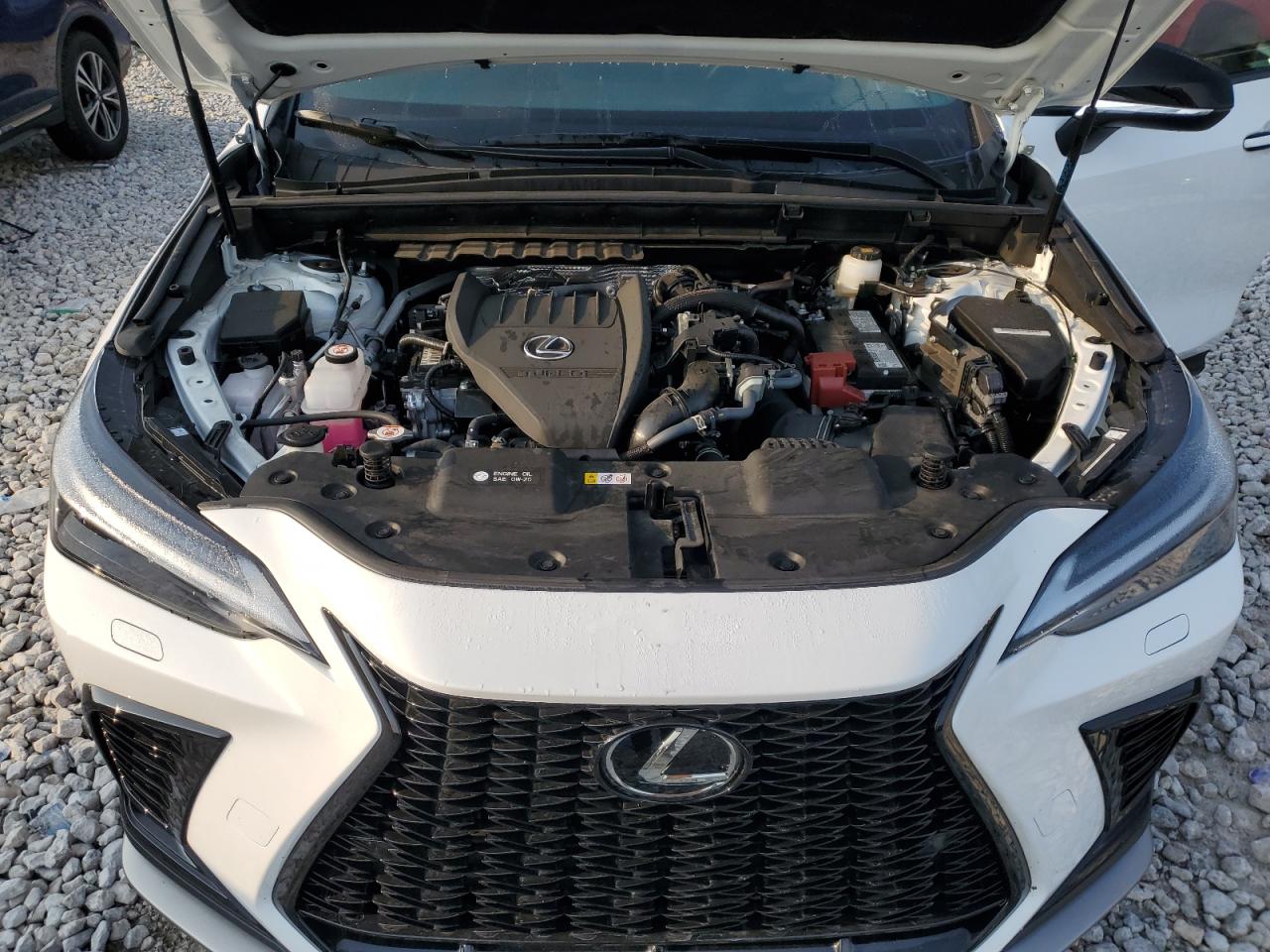 2024 LEXUS NX 350 LUXURY VIN:2T2KGCEZ2RC032881