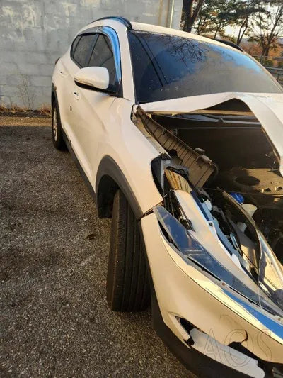 2017 Hyundai Tucson 696KMKMHJ3815GHU2 VIN:696KMKMHJ3815GHU2
