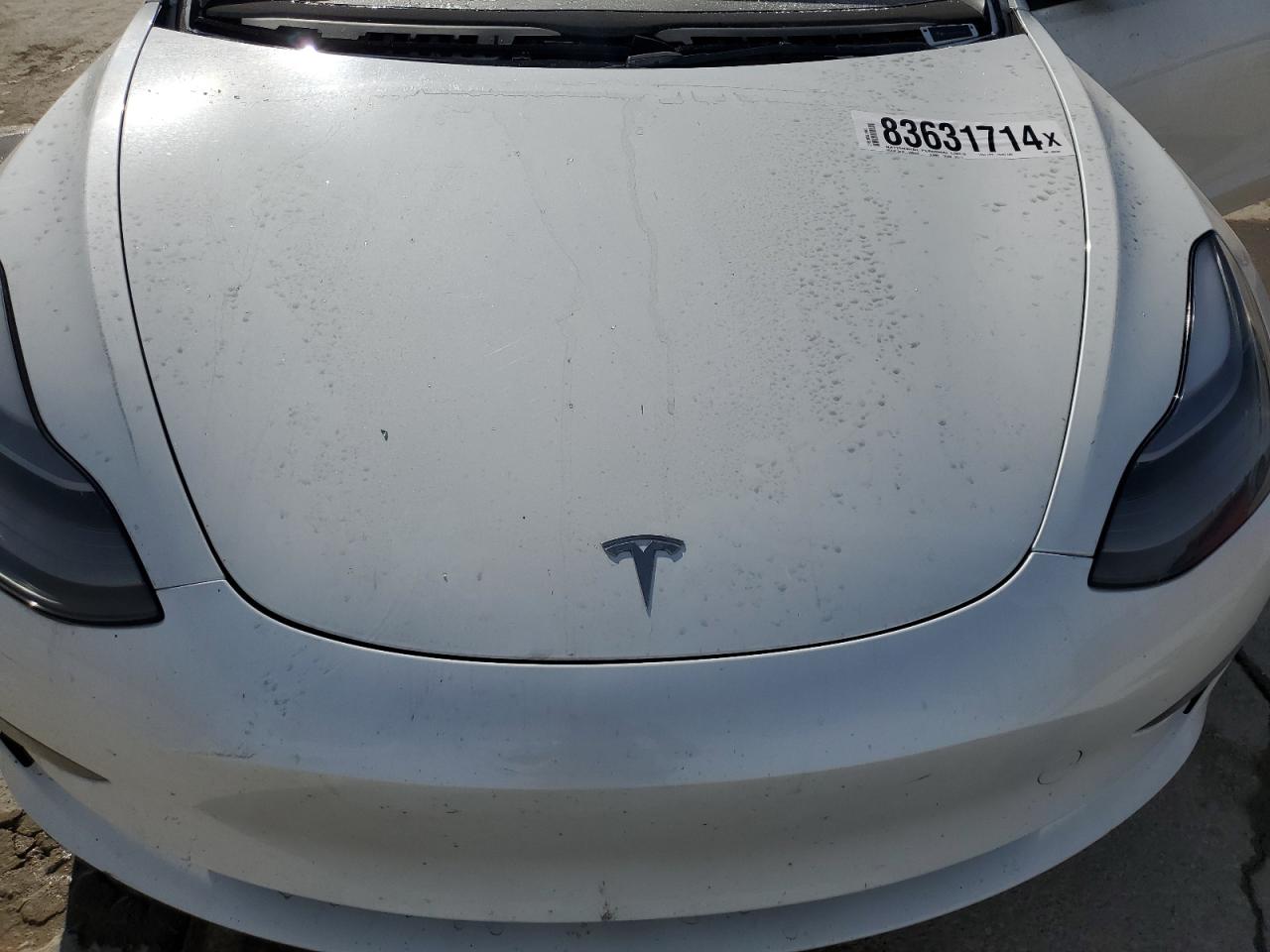 2023 TESLA MODEL 3  VIN:5YJ3E1EA5PF493546