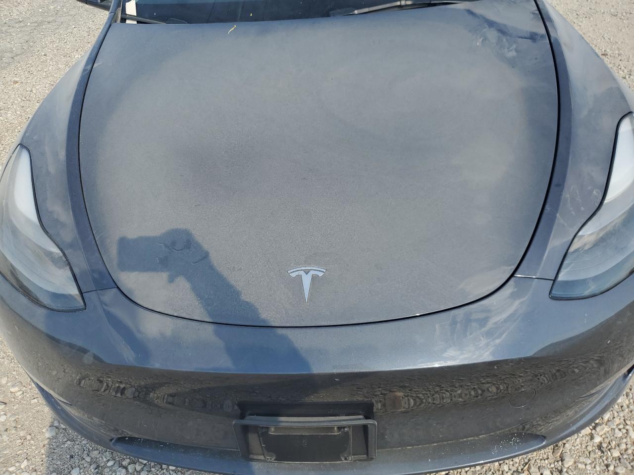 2023 TESLA MODEL Y  VIN:7SAYGAEEXPF882902