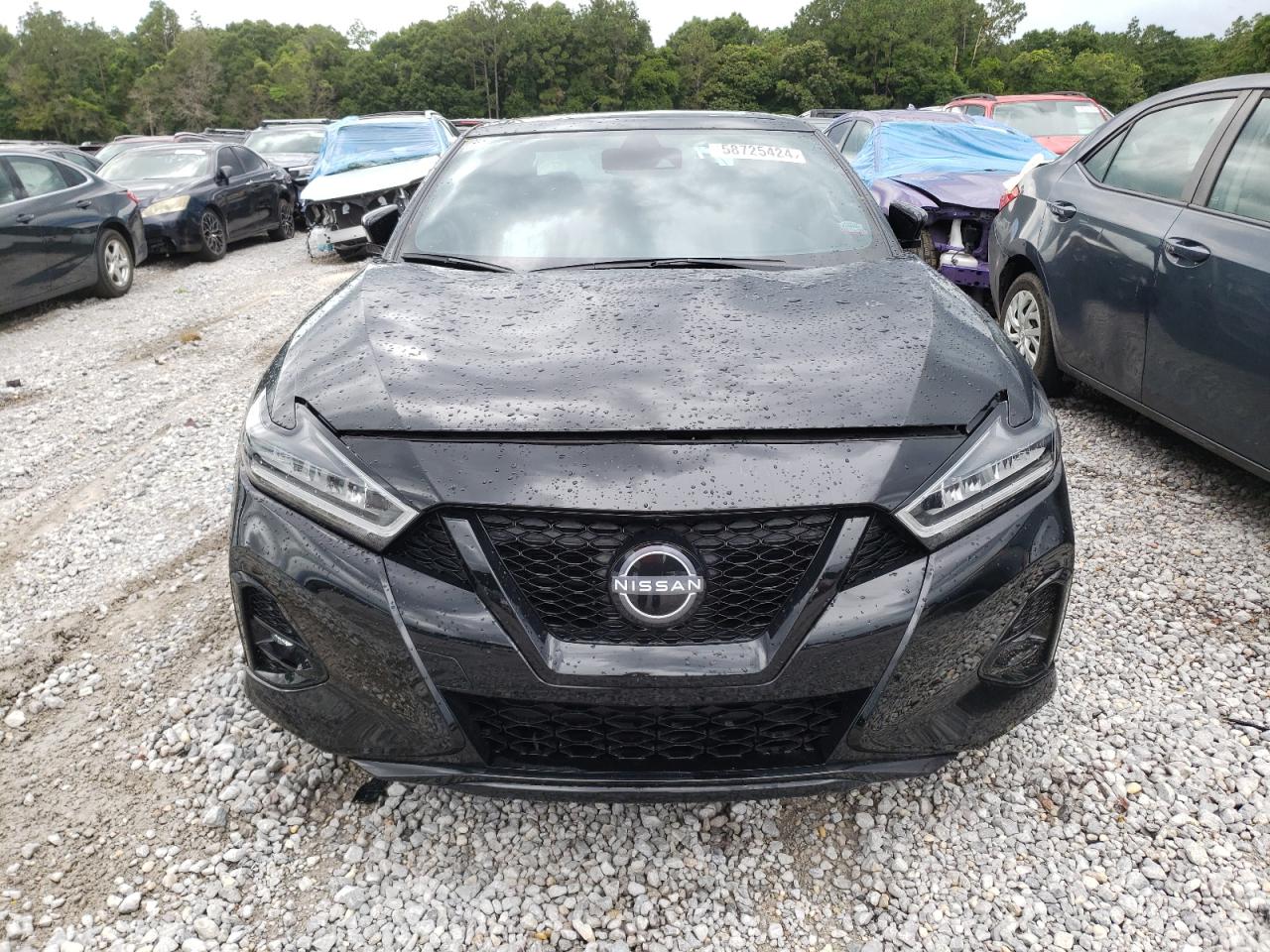 2023 NISSAN MAXIMA SR VIN:1N4AA6EV0PC514132