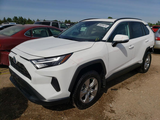 2024 TOYOTA RAV4 XLE VIN:2T3RWRFV2RW203929