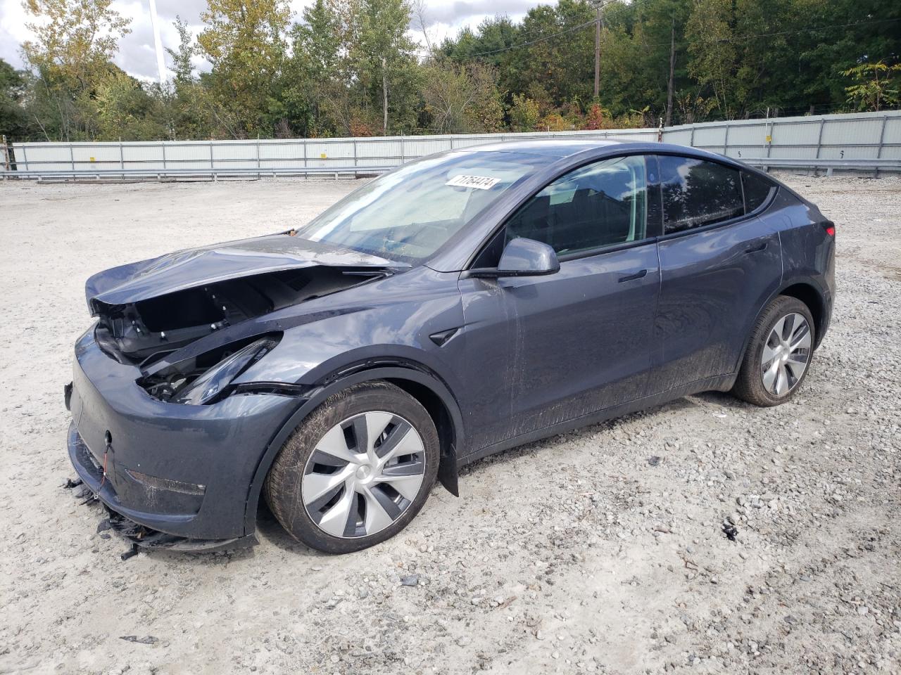 2023 TESLA MODEL Y  VIN:7SAYGDEE4PF855986
