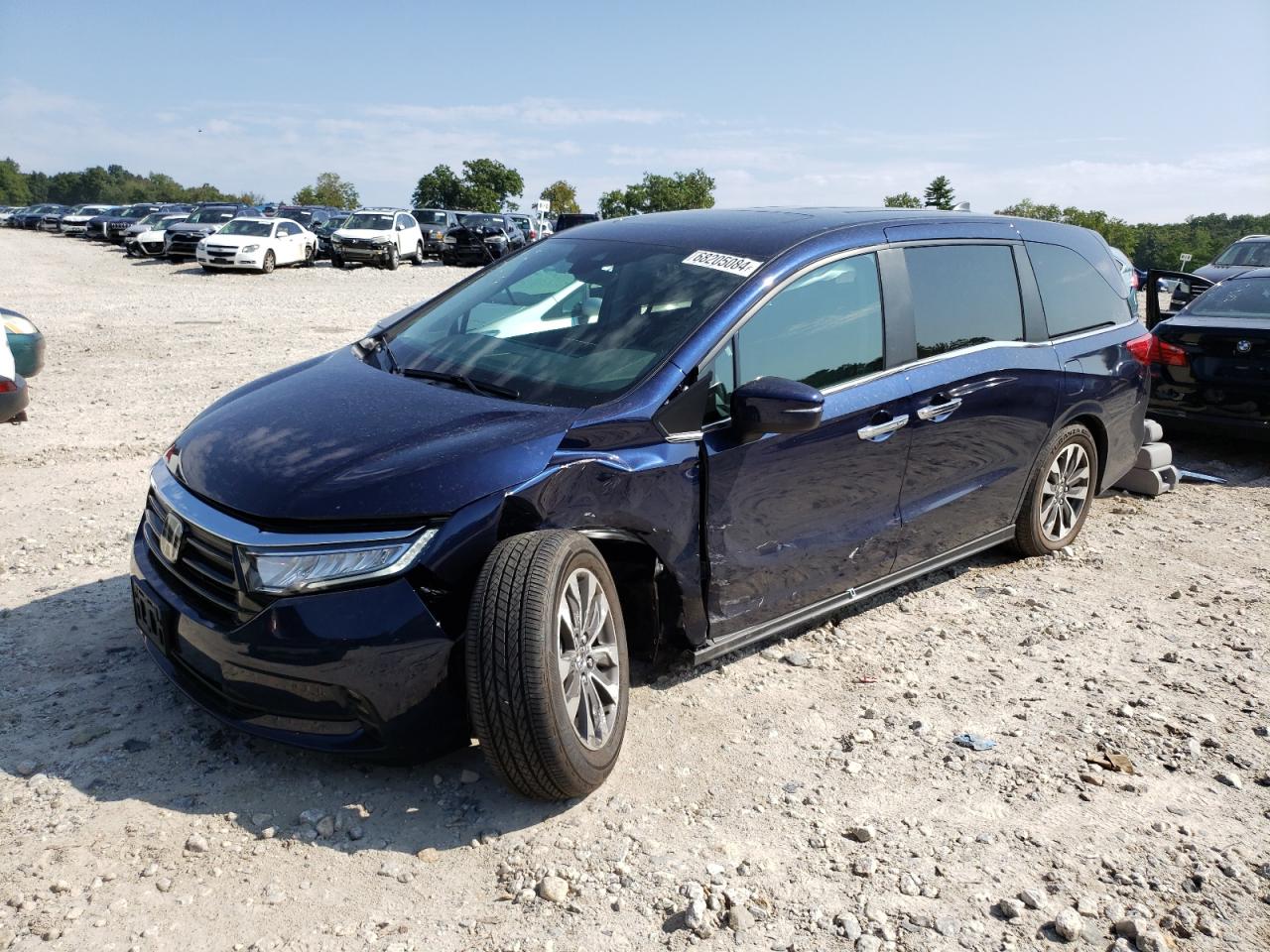 2024 HONDA ODYSSEY EXL VIN:5FNRL6H66RB070093