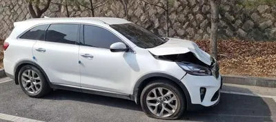 2019 Kia Sorento KNAPK81BDLA554946 VIN:KNAPK81BDLA554946