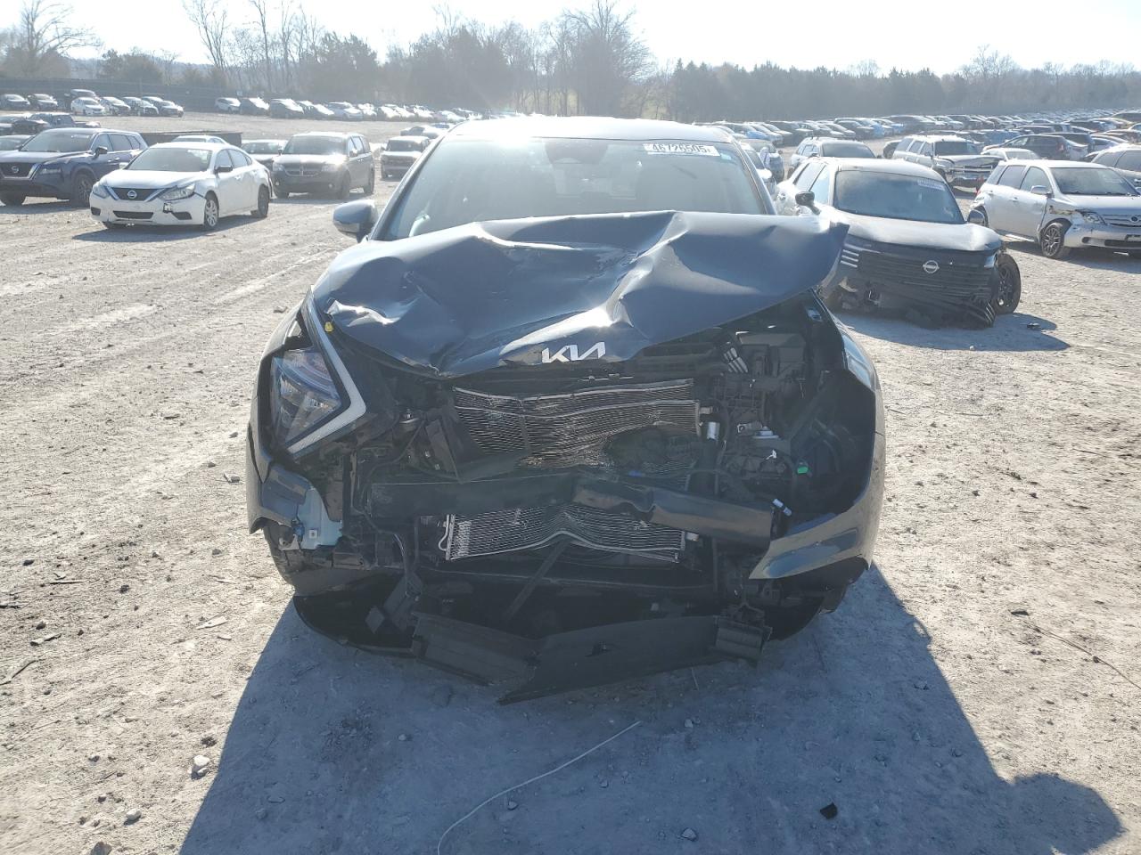 2023 KIA SPORTAGE EX VIN:5XYK33AF9PG057404