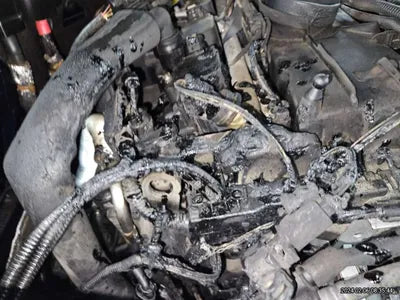 2019 BMW 530 WBAJD9102KB278446 VIN:WBAJD9102KB278446