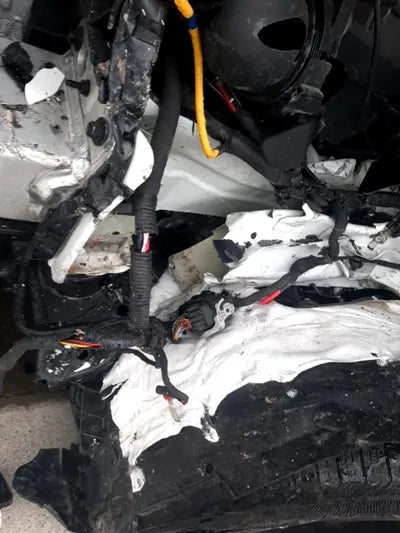 2021 Kia Sorento KNARK81BHMA012892 VIN:KNARK81BHMA012892