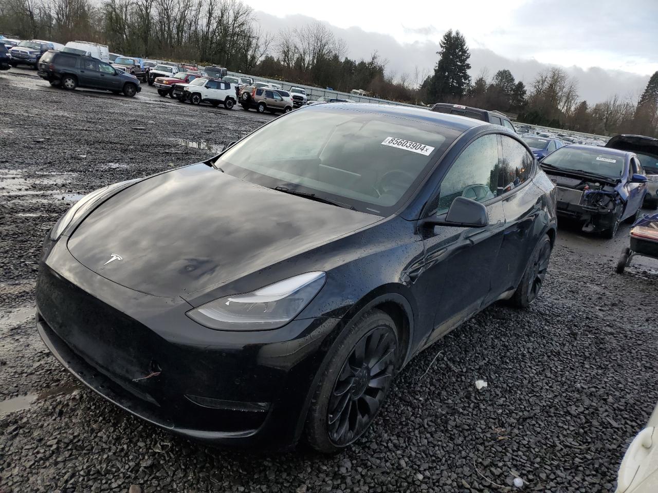 2022 TESLA MODEL Y  VIN:7SAYGDEF0NF461570
