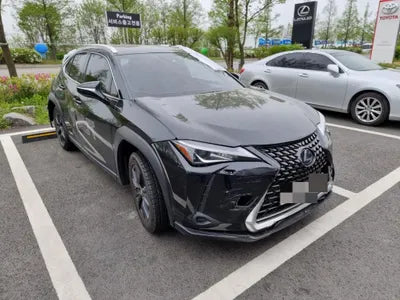 2020 Lexus UX 250 JTHP6JBH2L2072895 VIN:JTHP6JBH2L2072895