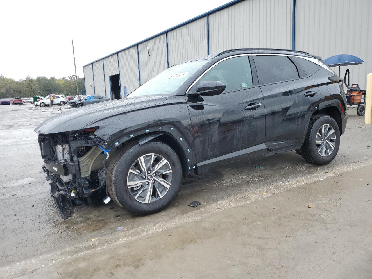 2024 HYUNDAI TUCSON BLUE VIN:KM8JBCD10RU235700