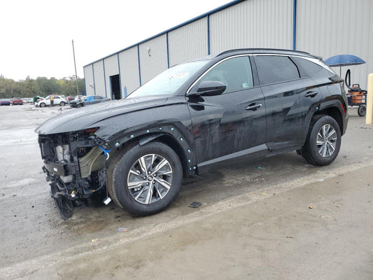2024 HYUNDAI TUCSON BLUE VIN:KM8JBCD10RU235700