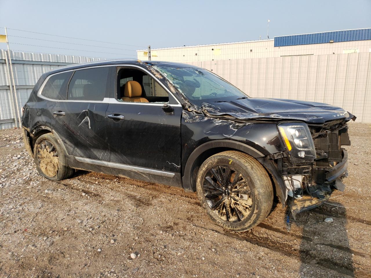 2022 KIA TELLURIDE SX VIN:5XYP5DHC3NG214648