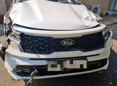 2020 Kia Sorento KNARK81BGMA002936 VIN:KNARK81BGMA002936