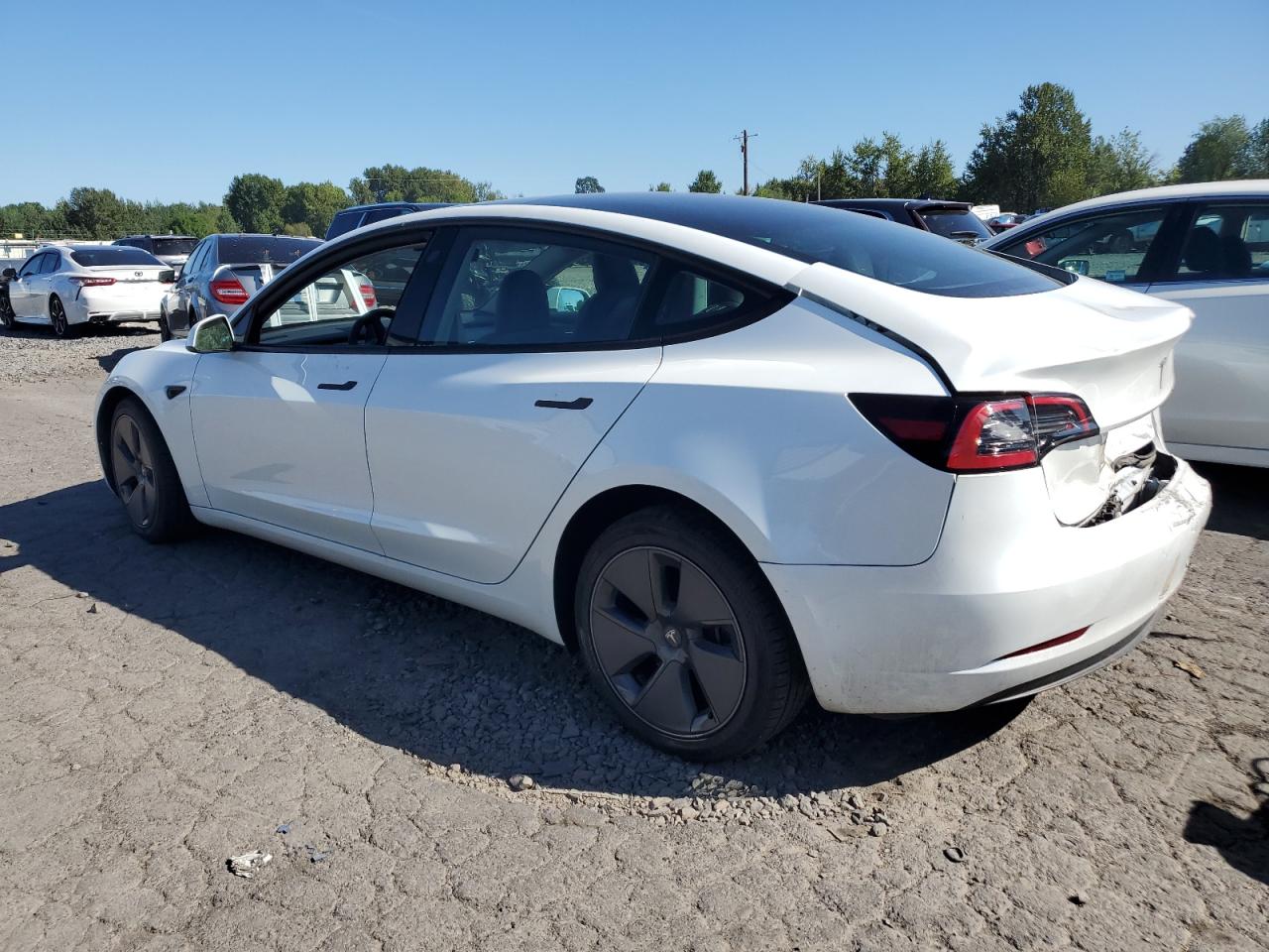 2023 TESLA MODEL 3  VIN:5YJ3E1EA6PF605674