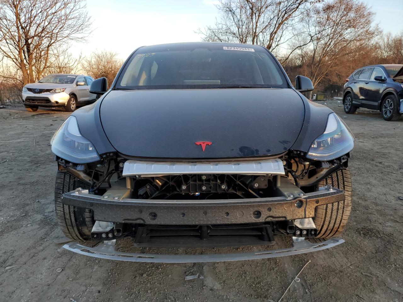 2023 TESLA MODEL Y  VIN:7SAYGDEF4PF845550