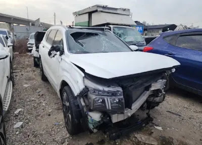 2021 Hyundai Santa FE KMHS581HGMU396744 VIN:KMHS581HGMU396744