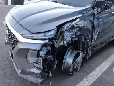 2018 Hyundai Santa FE KMHS281BBKU125996 VIN:KMHS281BBKU125996