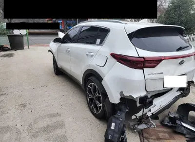 2019 Kia Sportage KNAPR813BKK557772 VIN:KNAPR813BKK557772
