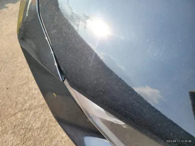 2019 Ford Mustang VIN: